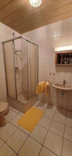 y baño con ducha y lavamanos. en Sharma's Hotel en Ilmenau