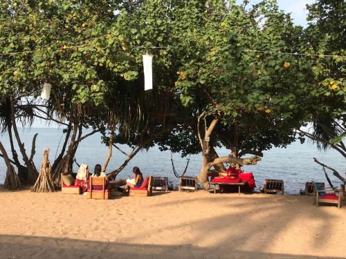 eine Gruppe von Menschen, die am Strand unter Bäumen sitzen in der Unterkunft Fat Rabbit Beach Resort in Kep