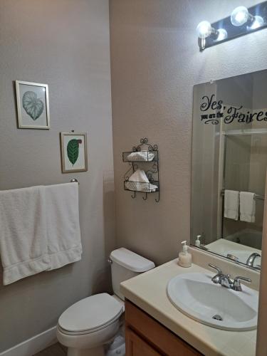 La salle de bains est pourvue de toilettes, d'un lavabo et d'un miroir. dans l'établissement Roseville Properties, à Roseville
