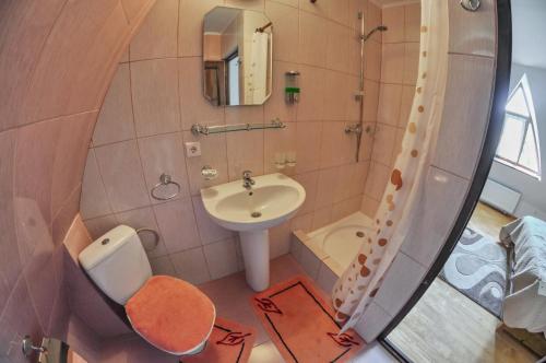 a bathroom with a sink and a toilet and a mirror at Casele de vacanta Luca & Vicentiu in Botiza