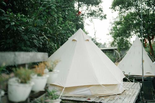 zwei Zelte auf einem Tisch mit Topfpflanzen in der Unterkunft An Suối Garden Tri Tôn An Giang 