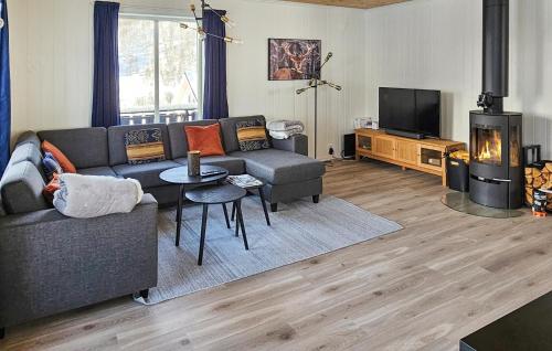 a living room with a couch and a tv at Gorgeous Home In Rauland With Kitchen in Rauland