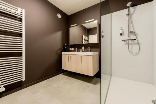 La salle de bains est pourvue d'un lavabo et d'une douche. dans l'établissement Smartflats Design - Cathédrale, à Liège