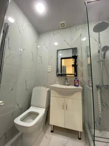 a bathroom with a toilet and a sink and a shower at Apartment in Yerevan in Yerevan