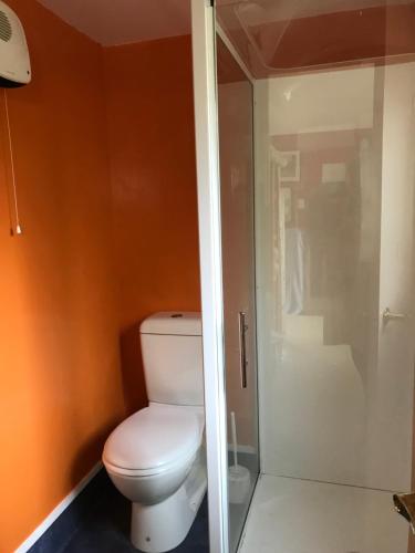 uma casa de banho com um WC e uma cabina de duche em vidro. em Piringa em Dunedin
