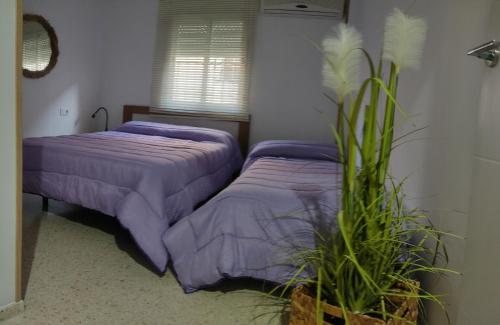a bedroom with two beds with purple sheets and a plant at Apartamento Lerele in El Bosque