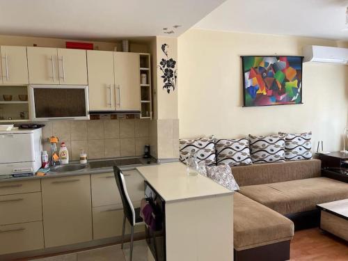 a kitchen and a living room with a couch at Apartament cu un dormitor / One bedroom apartment in Satu Mare