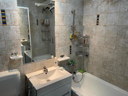 a bathroom with a sink and a shower and a tub at Apartament cu un dormitor / One bedroom apartment in Satu Mare