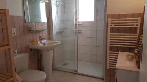 馬西亞克的住宿－Le Petit HERMITAGE，带淋浴、盥洗盆和卫生间的浴室