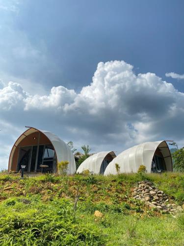 Сад в Tớ Dày Du Già Village