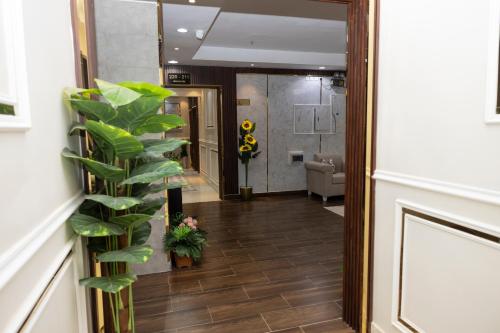 Şāmitahにあるفندق نبض المخلافの植物が植えられた廊下のある部屋