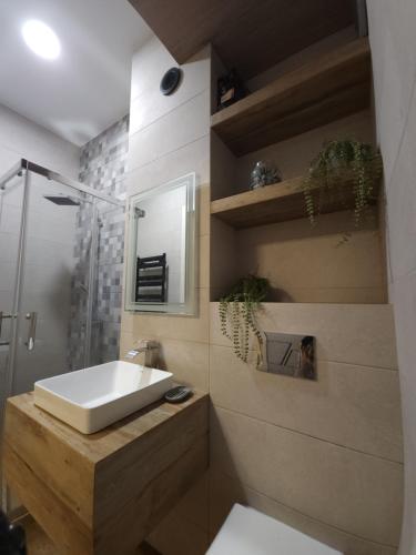 y baño con lavabo, ducha y aseo. en Apartment - 200 m Near Central Park, en Tiflis