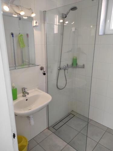 ein Bad mit einer Dusche und einem Waschbecken in der Unterkunft Apartman Garami Porta in Mezőkövesd