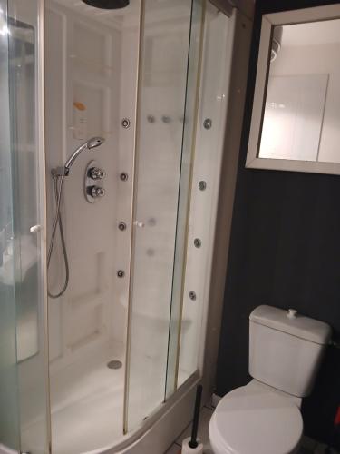 een badkamer met een douche en een toilet bij Agréable et tranquille studio vue mer in Saint-Denis