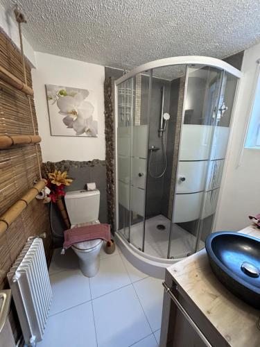 Un baño con ducha, inodoro y lavabo. en Gites des capucins centre ville Sélestat, en Sélestat