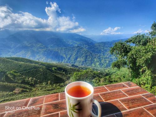 a cup of tea sitting on a table with a view at MARYBONG HOME STAY in Darjeeling