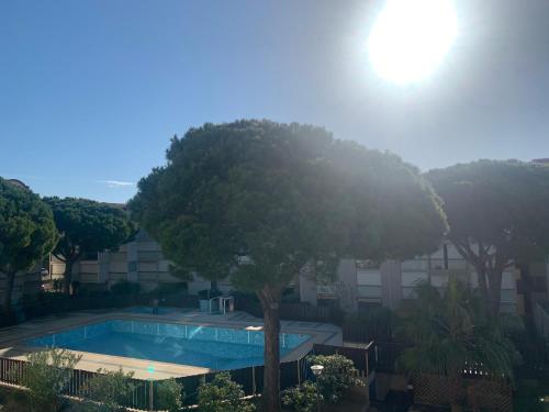 un grand arbre à côté d'une piscine dans l'établissement GRUISSAN PORT JOLI T3 DUPLEX, à Gruissan