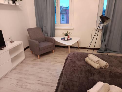 a living room with a couch and a chair at Kamienica Nowodworska 30 in Bydgoszcz