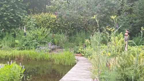 a garden with a wooden path next to a pond at B&B Houtstee in Veendam