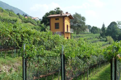 una casa amarilla en una colina con un viñedo en ROCCOLO, en Morbio Inferiore