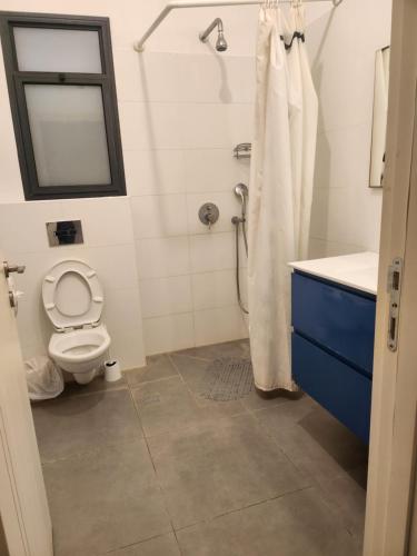a bathroom with a toilet and a sink and a shower at חאן דרך העץ - חדרי מטיילים in Shadmot Devora