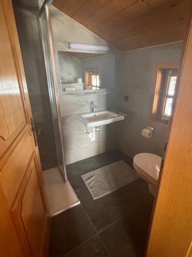 a bathroom with a sink and a toilet at Moabauer in Wagrain
