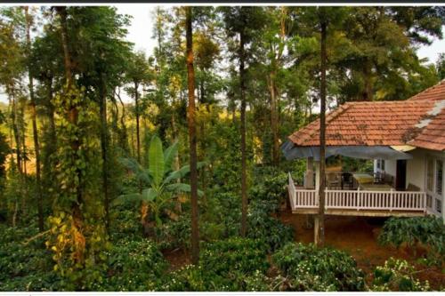 a small house in the middle of a forest at Daisy Land - Farm Stay. (Group of 4+ guests) in Cherambane