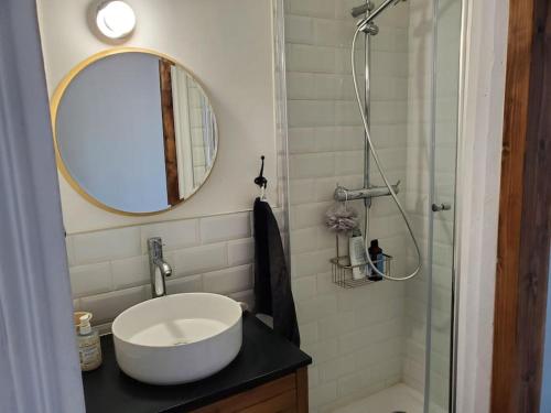 une salle de bain avec un lavabo, un miroir et une douche dans l'établissement Nid cosy au coeur de Saint-Denis, à Saint-Denis