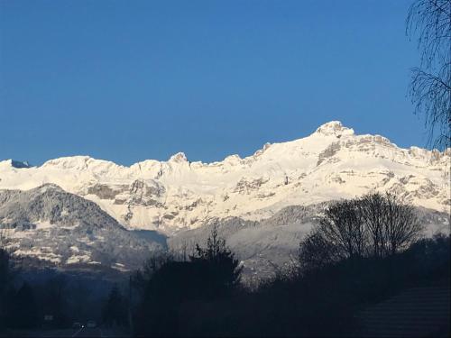 una montaña cubierta de nieve con árboles delante de ella en Chambre Sallanches, en Sallanches