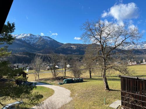 a path in a field with mountains in the background at Ferienwohnung am Stambach in Bad Goisern