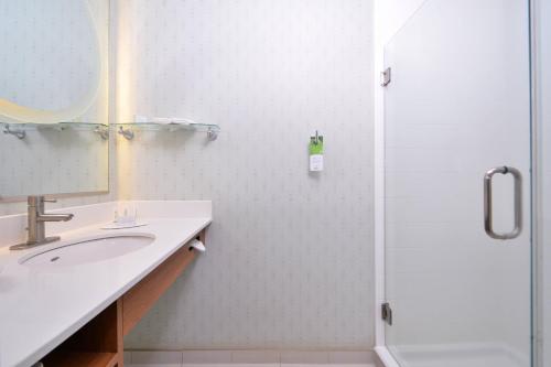 W łazience znajduje się umywalka i prysznic. w obiekcie SpringHill Suites Kingman Route 66 w mieście Kingman