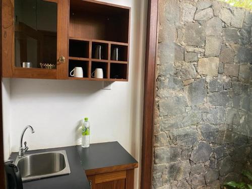 a kitchen with a sink and a stone wall at Twin Blocks Nature Resort in Anuradhapura