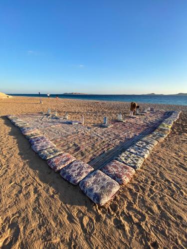 a long line of rocks on a sandy beach at Blend in Nature Eco Camp Beachfront Stay in Ras Mohamed, Sharm El Sheikh in Sharm El Sheikh