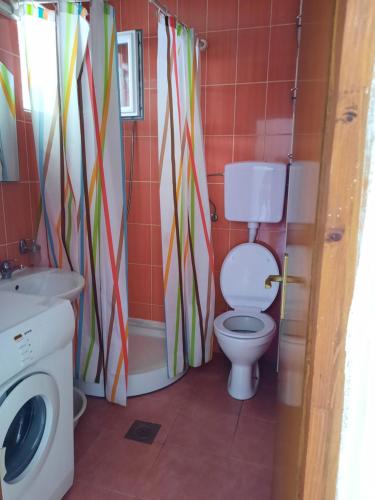 a bathroom with a toilet and a sink and a washing machine at Apartmani na moru in Bar