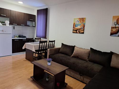 uma sala de estar com um sofá e uma cozinha em Apartman Andjela em Sokobanja