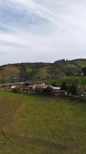a green field with a train in the distance at Finca el Lomo in Las Palmas de Gran Canaria