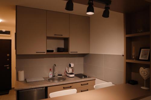 uma cozinha com um lavatório e uma bancada em Studio Paddock em Belgrado