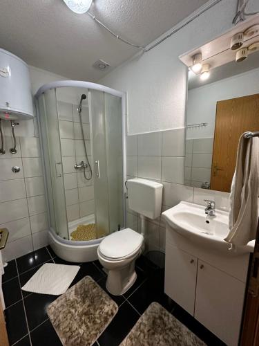 a bathroom with a toilet and a shower and a sink at Mrestilište Vareš in Vareš