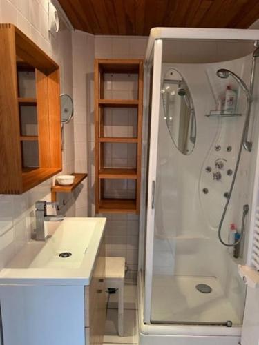 une salle de bain avec douche et lavabo dans l'établissement Gîte du Port, à Ploubazlanec