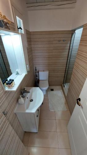 a bathroom with a sink and a toilet and a shower at Apollon-Artemis Apartments in Apollonia