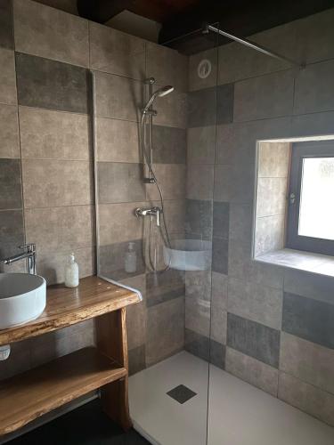 une salle de bain avec douche et lavabo dans l'établissement Gîte de la Séoube, à Campan