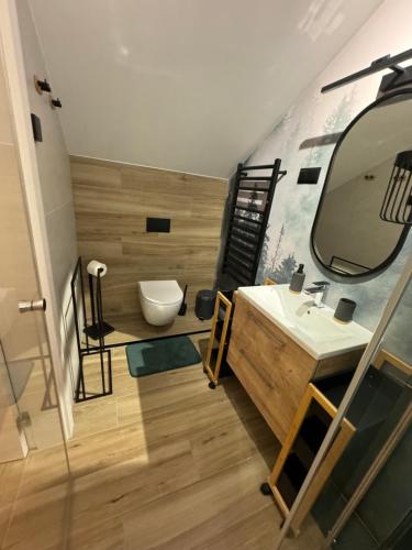 a bathroom with a sink and a mirror and a toilet at Narciarska6A Apartamenty in Szczyrk