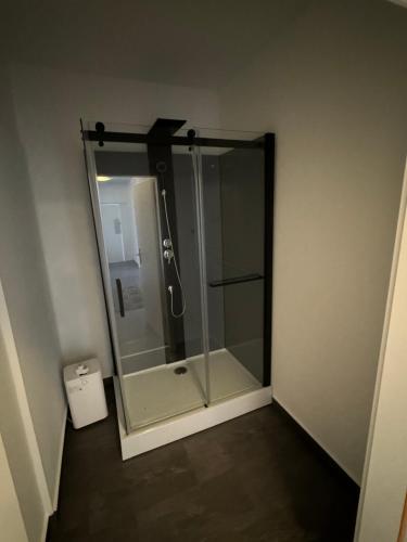 a bathroom with a shower with a glass shower stall at Ferienwohnung Hercules in Meinerzhagen