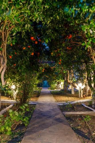 an avenue of fruit trees in a park at CottonClub Villas in Tolo