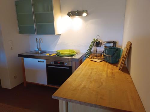 a kitchen with a sink and a counter top at Bio Kinder Erlebnis Bauernhof Voit in Söchtenau