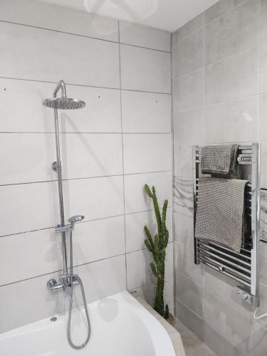 bagno con doccia e vasca bianca di Casa Salvia Bed and Breakfast a Icod de los Vinos