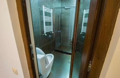 a bathroom with a toilet and a glass shower at RED HOUSE in Bakuriani