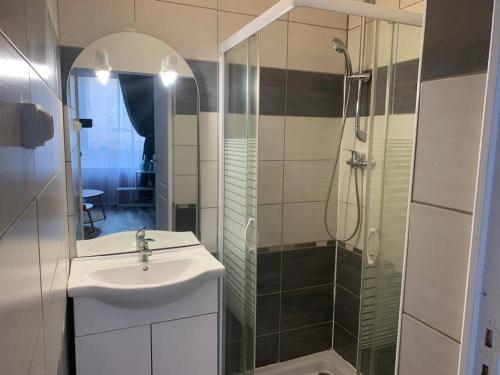W łazience znajduje się umywalka i prysznic. w obiekcie Appartement avec cours w mieście Gien