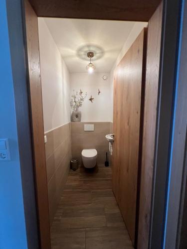 a small bathroom with a toilet and a sink at Chic lodge-apartments in Ehrwald