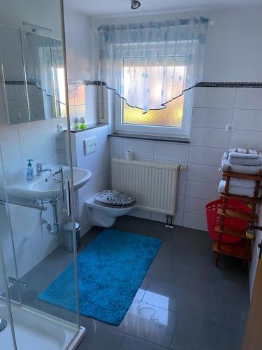 uma casa de banho com um chuveiro, um WC e um lavatório. em Ferienwohnung em Emmingen-Liptingen